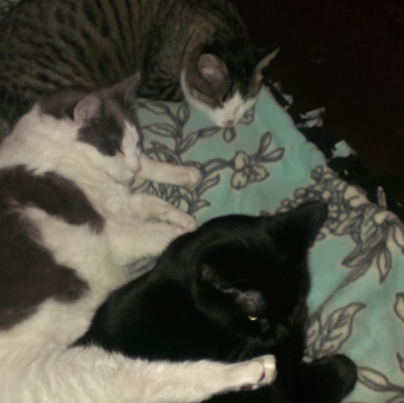 🐴💜YOUR POSHER💜🐎 - Picture 2 of 2